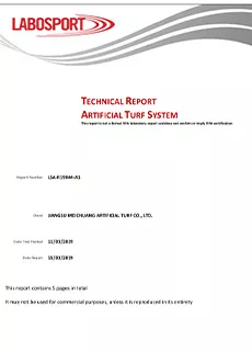 Lab report-No infill grass