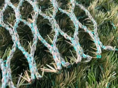 Customized Hybrid Grass