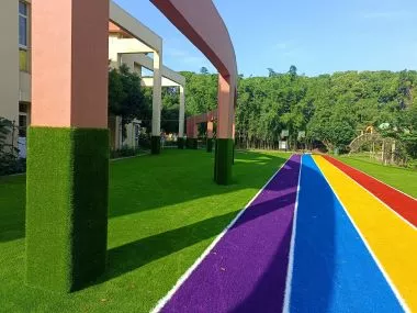 Customized Rainbow Grass