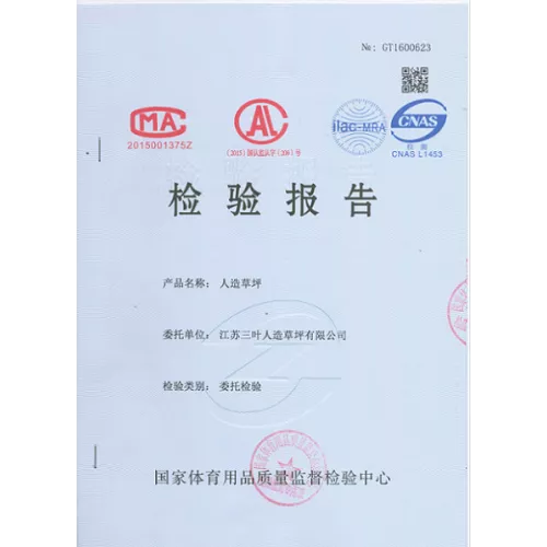new national standard