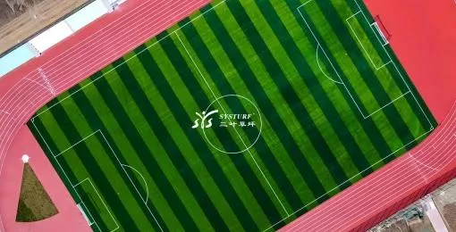 Football field case