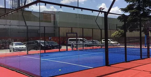 Cases of other sports venues